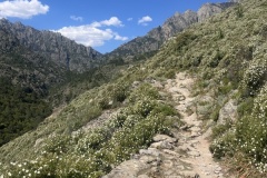 20240512_091050457_iOS