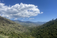 20240512_112019455_iOS