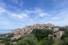 20240513_082559904_iOS