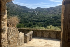 20240513_083347444_iOS