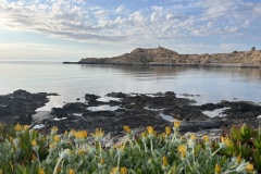 20240513_170311122_iOS