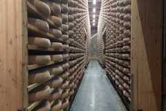 IMG-20240513-WA0024