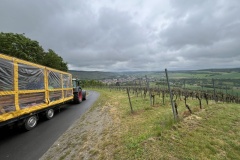 20240518_104431899_iOS