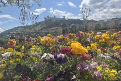 20240519_122735968_iOS