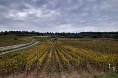 IMG-20241019-WA0026