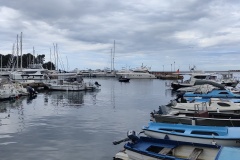 IMG20250506094456