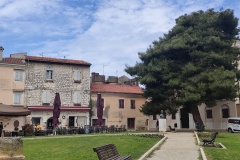 IMG20250506103048