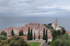 IMG20250507122728