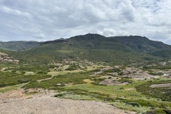 IMG_4424