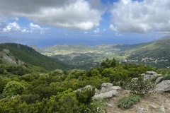 20250523_104405842_iOS