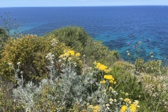 20250524_113533659_iOS