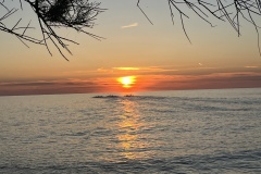 20250524_184033251_iOS