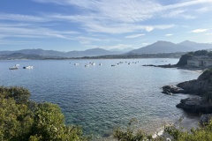 20250527_054626340_iOS