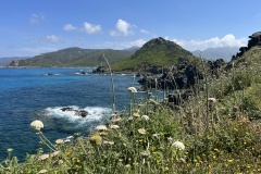 20250528_085716112_iOS