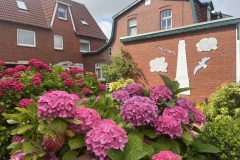 20250723_143819822_iOS