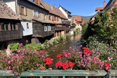 20250819_083824534_iOS