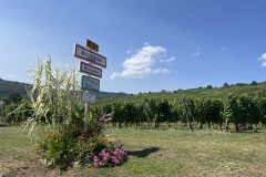 20250819_114837257_iOS