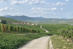 20250819_150121212_iOS