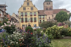 20250820_103841156_iOS