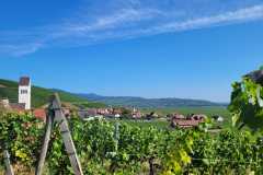 20250821_161353000_iOS-2