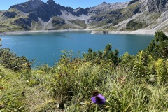 20250831_113023446_iOS