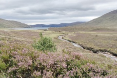 IMG20250906093431-Kopie