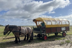 20250917_091254784_iOS