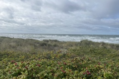 20250917_091400731_iOS