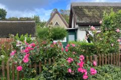 20250917_194738087_iOS