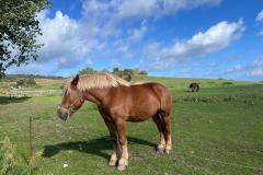 20250917_194738470_iOS