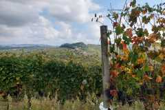 IMG-20250928-WA0094