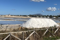 20251008_082606269_iOS