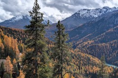 PXL_20251021_124013309