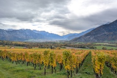 PXL_20251022_111442714