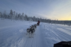 20260208_081431649_iOS