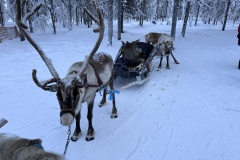 20260209_125801847_iOS