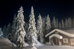 20260209_184031023_iOS