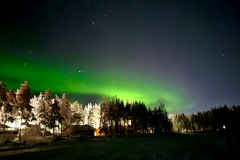 20260210_181319000_iOS