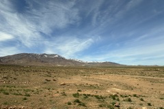 IMG_7977
