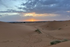 IMG_8530