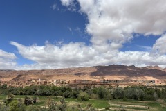 IMG_8555