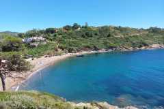 IMG-20260517-WA0061