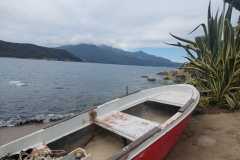 IMG-20260517-WA0090