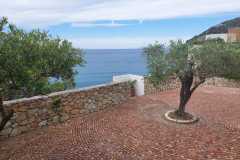 IMG-20260517-WA0098