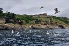 IMG-20260517-WA0101