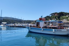 IMG20260512125842