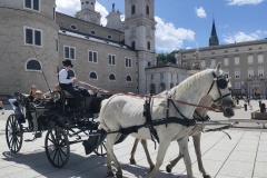 IMG20260613142449
