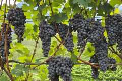 IMG-20260921-WA0031