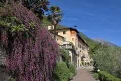 IMG-20260921-WA0032
