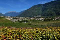 IMG-20260921-WA0035